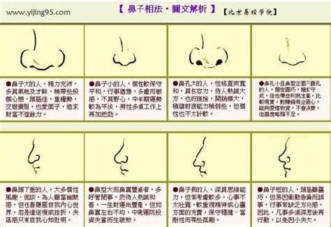 看鼻子 面相 靠北語錄